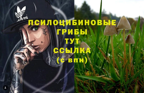 кокаин колумбия Елизово