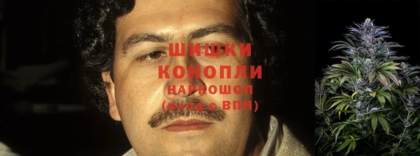 сатива Заволжск