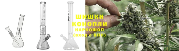 молекула духа Елабуга