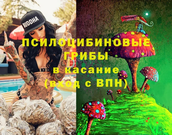 молекула духа Елабуга