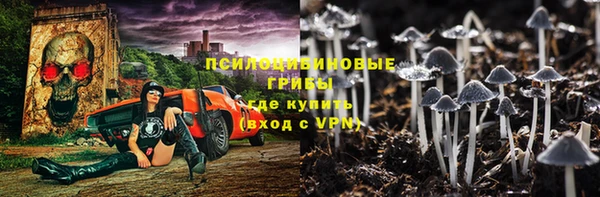 стафф Щигры