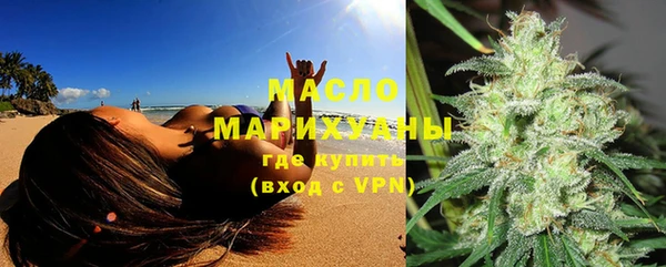 молекула духа Елабуга