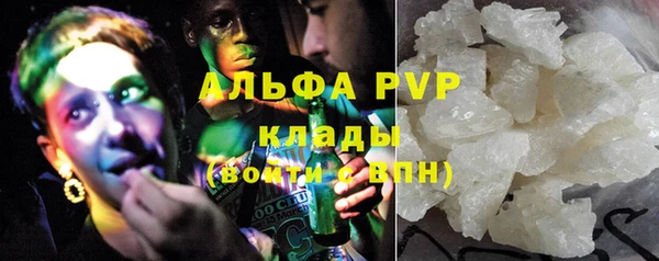 молекула духа Елабуга