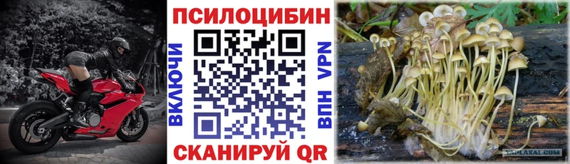 Купить  Мурино  Галлюциногенные грибы GOLDEN TEACHER 
